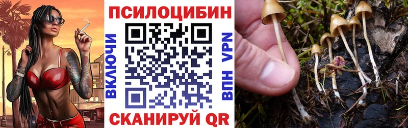 Псилоцибиновые грибы прущие грибы  закладки  Пермь 